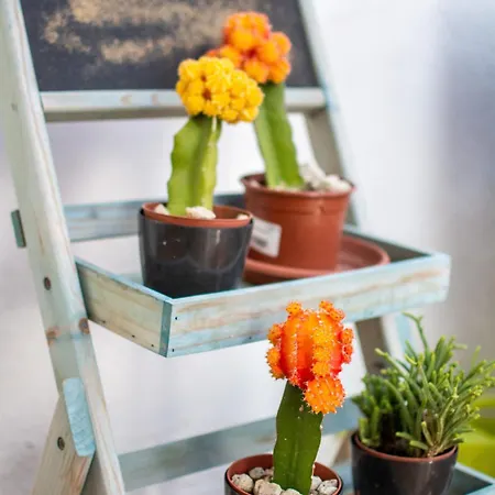 Relax Marine * ארונה